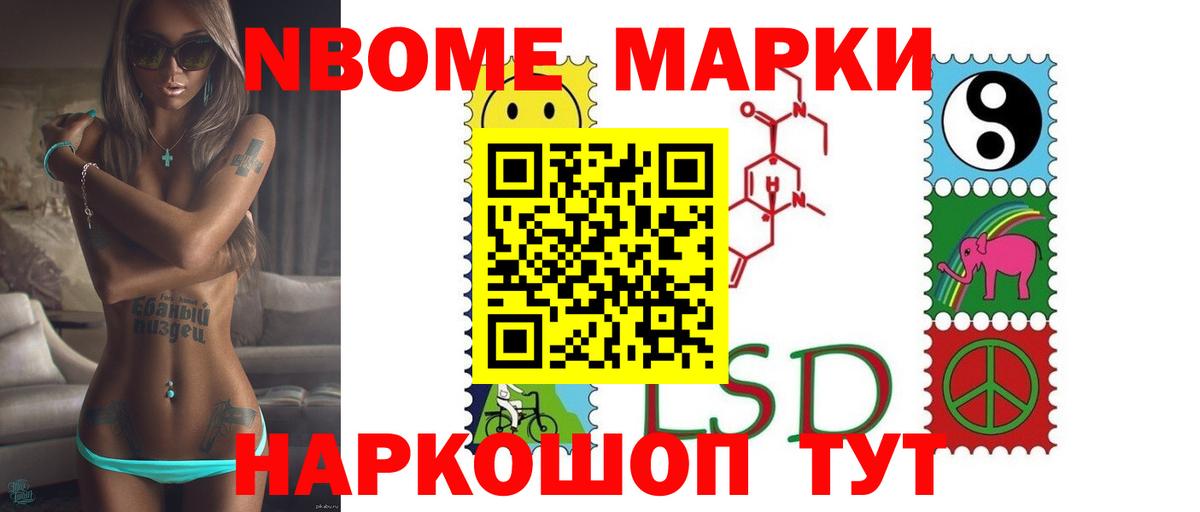 Новозыбков  omg ссылка  Вход с VPN  LSD-25 экстази ecstasy  Лсд 25 экстази кислота 