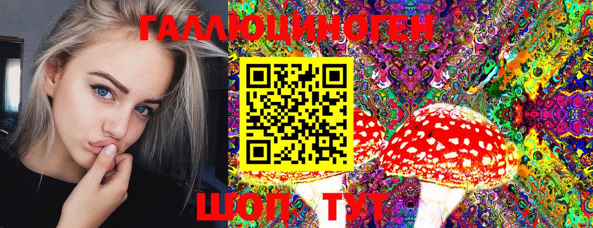Галлюциногенные грибы Cubensis Новозыбков