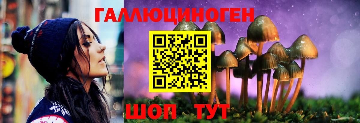 Новозыбков  Псилоцибиновые грибы прущие грибы  Вход с VPN 